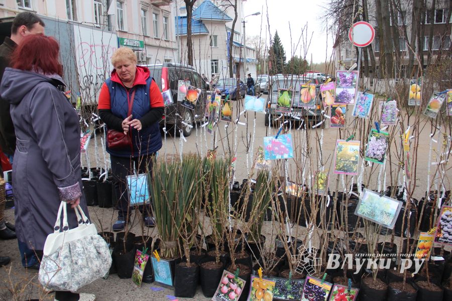 В Великих Луках прошла универсальная ярмарка «Весна-2019» (ФОТО)