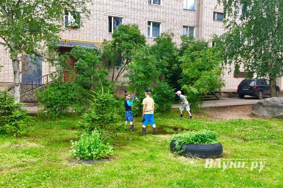 Великолучан беспокоит озеро во дворе дома (ФОТО)