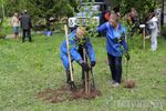 В Великих Луках посадили берёзы в рамках Всероссийской акции (ФОТО)