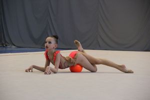 В Великих Луках прошли соревнования на Кубок Псковской области по художественной гимнастике (ФОТО)