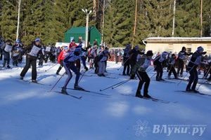 Всероссийская массовая лыжная гонка «Лыжня России 2015» состоялась в Великолукском районе (фото)