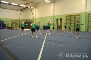 В Великих Луках состоялось Первенство по командной гимнастике (фото)
