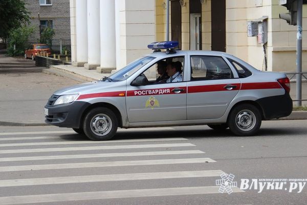 В Псковской области за неделю росгвардейцы изъяли 6 единиц оружия