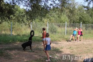 День открытых дверей на спортивно-дрессировочной площадке
