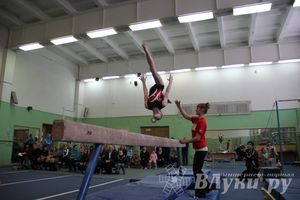 В Великих Луках прошло Первенство Области по спортивной гимнастики (фото)