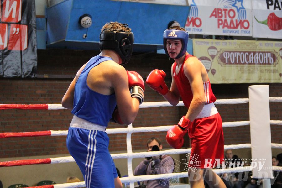 16-й Международный турнир по боксу (фото)