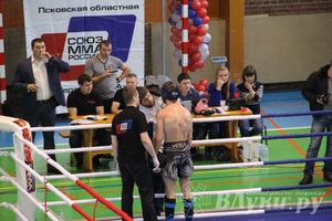 В Великих Луках прошел межрегиональный Открытый Кубок по смешанному боевому единоборству (фото)