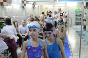 В Великих Луках прошло Первенство по плаванию (фото)