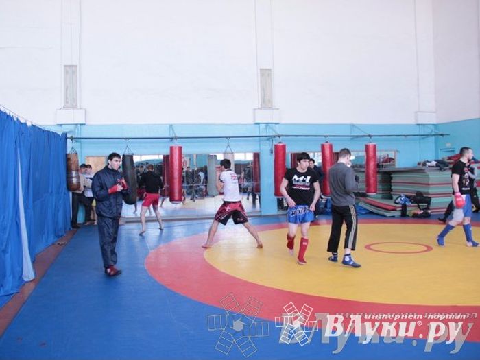 Чемпионат Псковской области по ММА