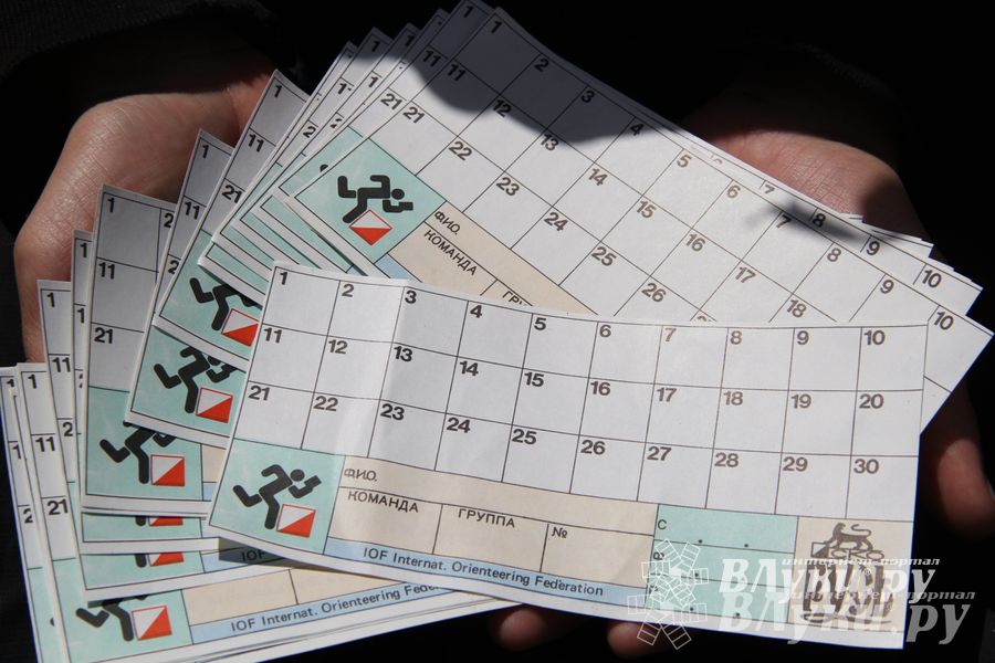 В Великолукском районе прошли массовые соревнований по спортивному ориентированию (фото)