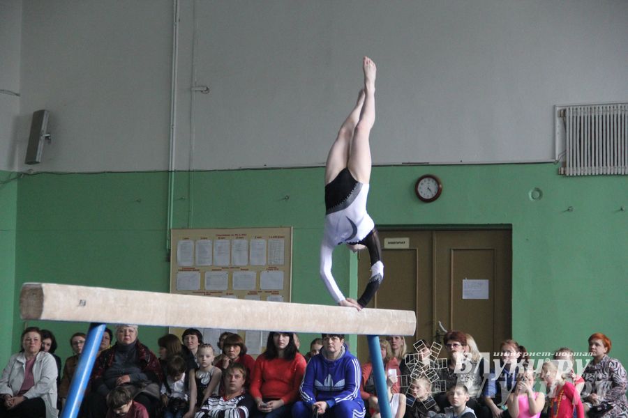 В Великих Луках прошел турнир по спортивной гимнастике (фото)