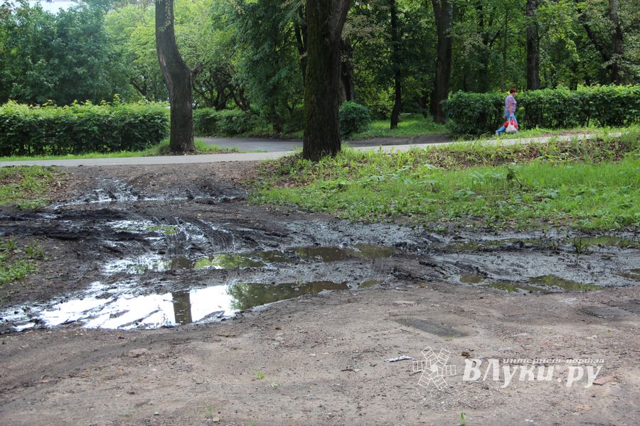 Великие Луки после дождичка в четверг (ФОТО)