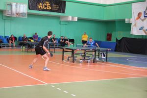 Настольный теннис