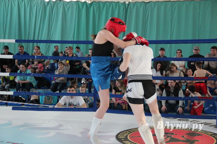 В Великих Луках прошел Кубок области по кикбоксингу (ФОТО)