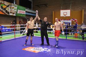 В Великих Луках прошел межрегиональный Открытый Кубок по смешанному боевому единоборству (фото)