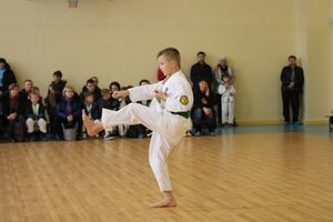 В Великих Луках прошло Первенство города по ВБЕ «КОБУДО» (ФОТО)