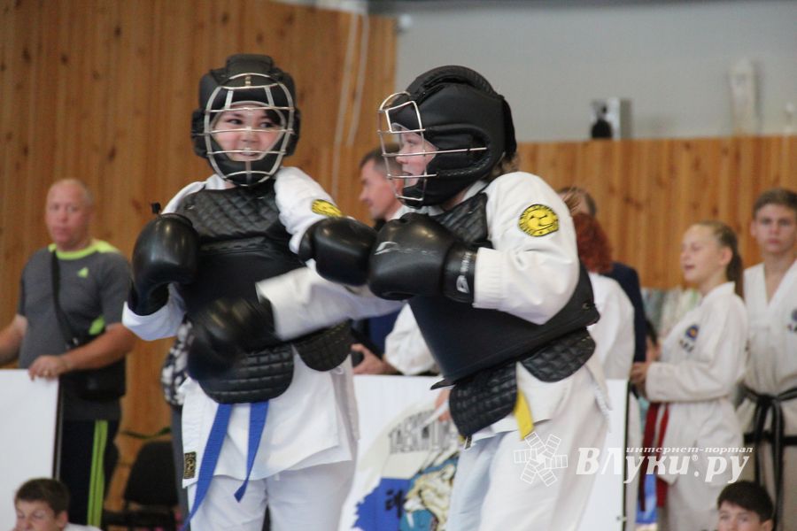 1-й Фестиваль боевых искусств состоялся в Великих Луках  (ФОТО)
