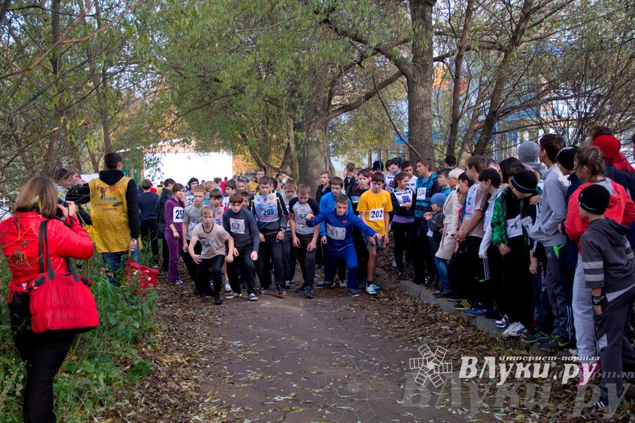 В Великих Луках прошел «Осенний кросс» 