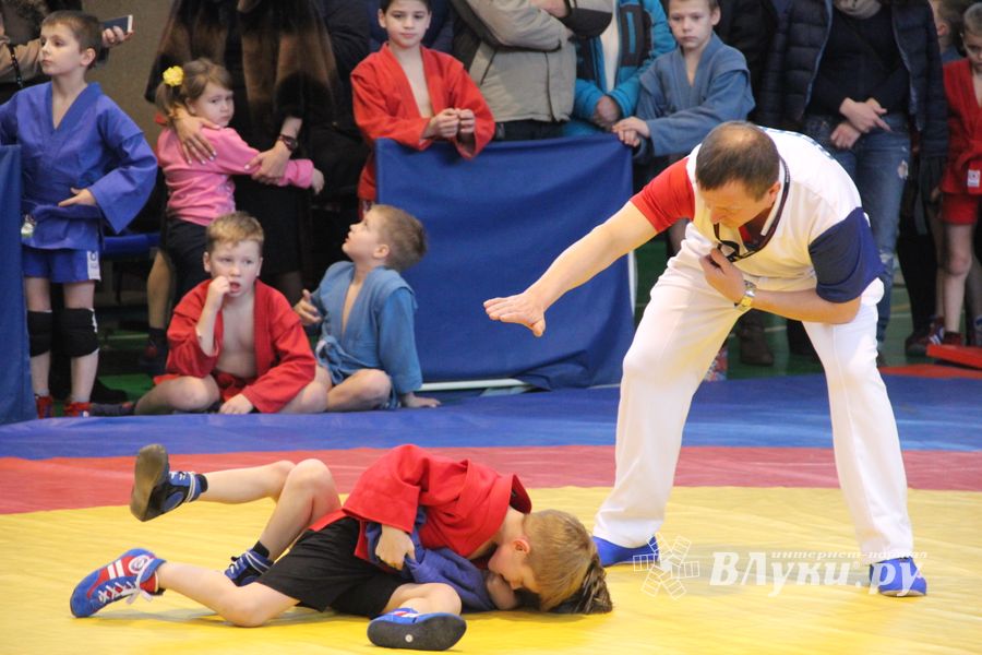 В Великих Луках проходит турнир самбистов (ФОТО)