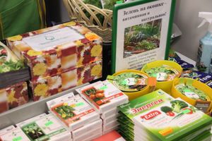 В ДК ЛК открылась 7-я Великолукская универсальная выставка (ФОТО, ВИДЕО)