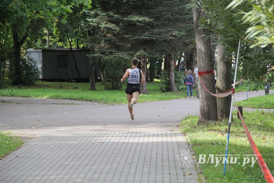 В Великих Луках прошёл «Кросс Нации-2018» (ФОТО)