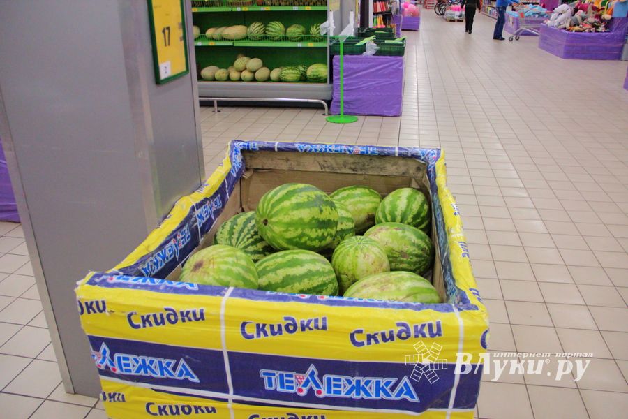 В Великих Луках проверили бахчевые (ФОТО)