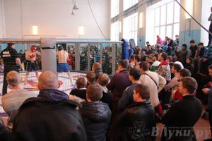 Первый чемпионат и первенство Псковской области по смешанным боевым искусствам «ММА»