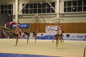 В Великих Луках проходит Кубок Псковской области по художественной гимнастике (ФОТО) (0+)