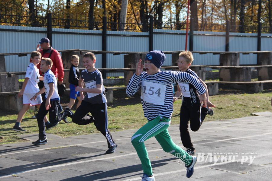 «Шиповка юных» среди великолукских школьников (фото)