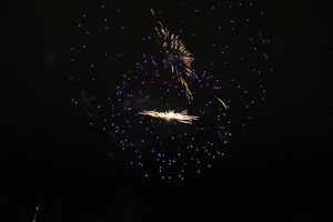 В Великих Луках зажглась новогодная ёлка (ФОТО)