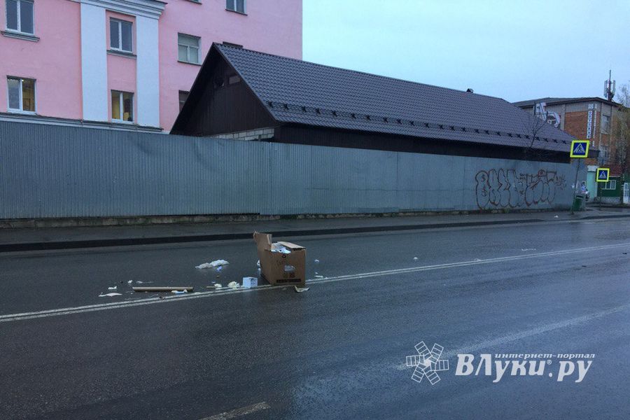 Неопознанный валяющийся объект «украсил» дорогу в Великих Луках.