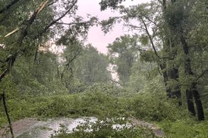 Весь ужас вчерашнего урагана в Великих Луках и районе (ФОТО, ВИДЕО)