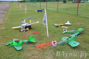 В Великих Луках прошли воздушные бои (фото)