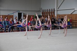 В Великих Луках прошли соревнования по по художественной гимнастике (ФОТО)