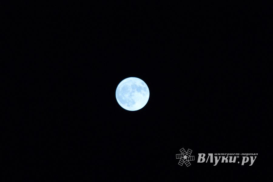 © ВЛуки.ру/ Ирина Ловчая