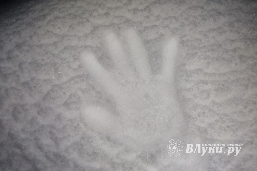 © ВЛуки.ру/Ирина Ловчая