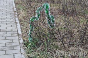 Этот странный январь