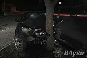В Великих Луках водитель БМВ врезался в дерево (ФОТО)