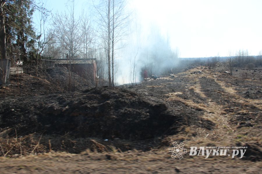 Великолукский район полыхает (ФОТО; ВИДЕО)