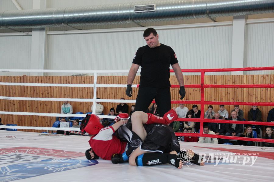 В Великих Луках проходит открытый кубок по смешанному боевому единоборству ММА (ФОТО) (12+)