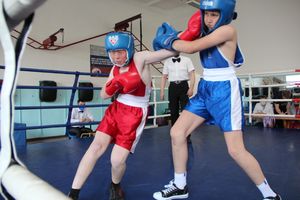 В Великих Луках завершился открытый турнир по боксу (ФОТО)