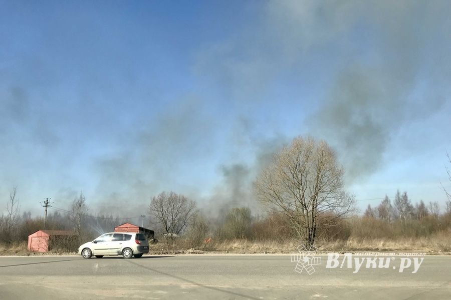 Пал травы угрожает строениям в Северном микрорайоне (ФОТО; ВИДЕО)