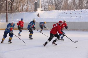 Великолукский хоккей: много забитых шайб и немного потасовок и разбитых лиц (фото)