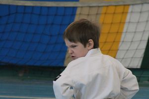 В Великих Луках прошел Открытый чемпионат Псковской области по каратэ