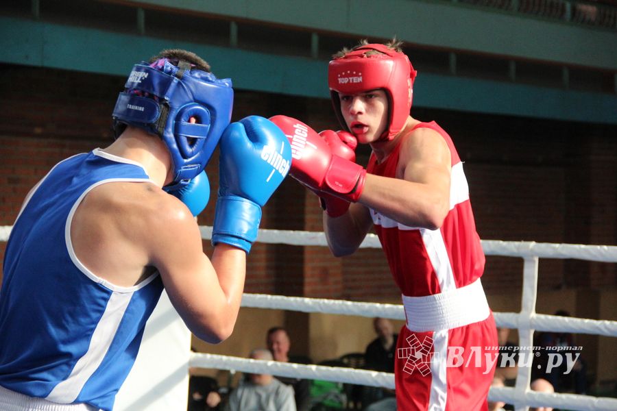 В Великих Луках прошел турнир по боксу памяти Е. Клевцова (ФОТО)