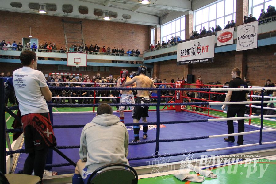 В Великих Луках прошел межрегиональный Открытый Кубок по смешанному боевому единоборству (фото)