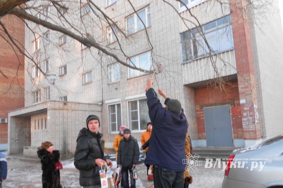 В Великих Луках прошла акция «Поможем пернатым друзьям в зимние холода» (фото)