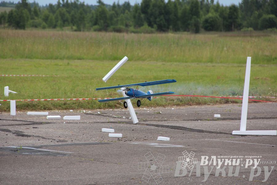 В Великих Луках прошли воздушные бои (фото)