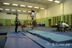 В Великих Луках состоялось Первенство по командной гимнастике (фото)