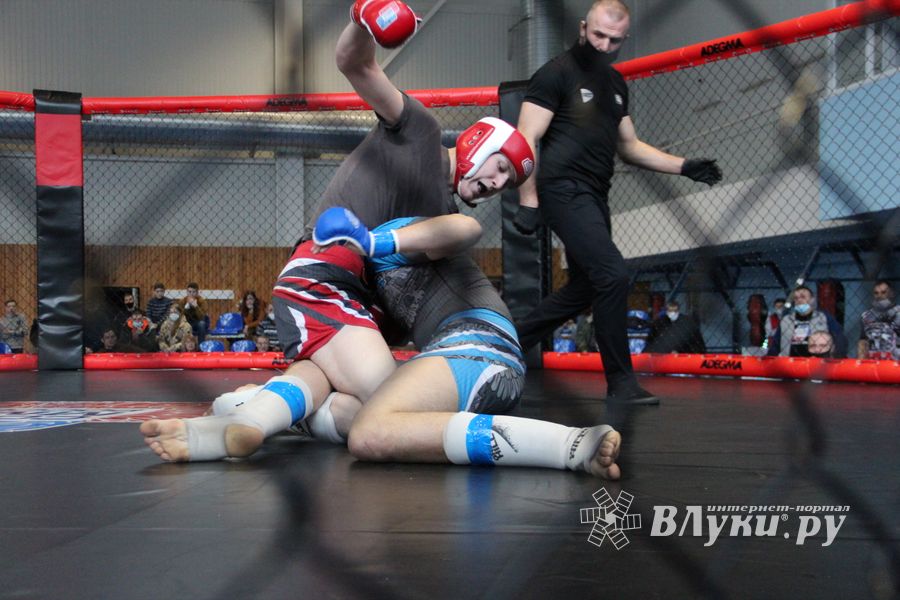 В Великих Луках прошел кубок по смешанному боевому единоборству (ФОТО)